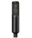Sony C-100 2-Way Hi-Res Condenser Microphone