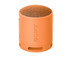 Sony SRS-XB100 Wireless Portable Bluetooth Speaker