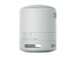 Sony SRS-XB100 Wireless Portable Bluetooth Speaker