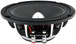 DS18 PRO-FR8NEO 8" Neodymium Full-Range Loudspeaker 250 Watts RMS - 4 Ohm 