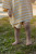 Terry Cloth Tee & Shorts Set