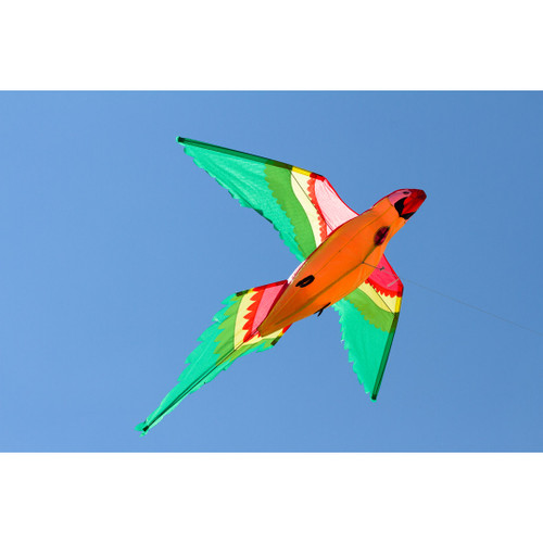Parrot 3D Bird Kite by HQ Kites | Dr. Gravity's Kite Shop