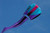 Bora 7 Parafoil Kite by Prism Kite Design | Dr. Gravity's Kite Shop