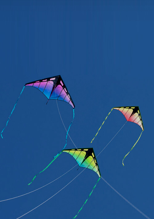 Dr. Gravitys Kite Shop