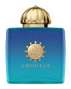 Amouage Eau De Parfum Spray 2024 www.itfaraba