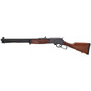 Henry Repeating Arms Henry Steel 360hmr 20" 5rd Blk 