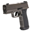SIG SAUER Sig P365axg Legion 9mm 3.1" 17rd 