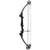  Genesis Bow Carbon Rh 