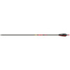  Gold Tip Hunter Arrows 400 4 In. Feathers 6 Pk. 