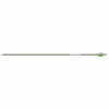  Gold Tip Warrior Arrows 500 Raptor Vanes 72 Pk. 