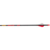  Gold Tip Hunter Arrows 340 Raptor Vanes 12 Pk. 