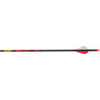  Gold Tip Hunter Arrows 500 Raptor Vanes 12 Pk. 
