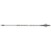  Gold Tip Airstrike Arrows 250 Raptor Vanes 6 Pk. 
