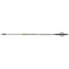  Gold Tip Airstrike Arrows 250 Raptor Vanes 6 Pk. 