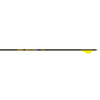 Gold Tip Hunter Pro Arrows 300 Raptor Vanes 6 Pk.