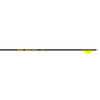  Gold Tip Hunter Pro Arrows 300 Raptor Vanes 6 Pk. 