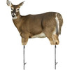  Montana Decoy Trixie Whitetail Doe Decoy 