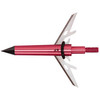 Allen Stryke Therm-x Broadhead 100 Gr. 3 Pk. 