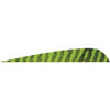  Gateway Parabolic Feathers Barred Chartreuse 4 In. Lw 50 Pk. 