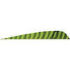  Gateway Parabolic Feathers Barred Chartreuse 4 In. Lw 50 Pk. 