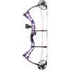  Diamond Prism Bow Package Purple 18-30 In. 5-55 Lbs. Rh 