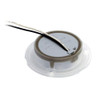  Hella Marine Blue LED Round Courtesy Lamp - White Bezel - 24V 