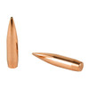 NOSLER Nosler Rdf 22 77 Hpbt 100ct 
