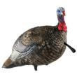 AVIAN Avian-X LCD Quarter-Strut Jake Turkey Decoy 