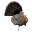  Higdon Outdoors TruStrutter XS Motion - Turkey 
