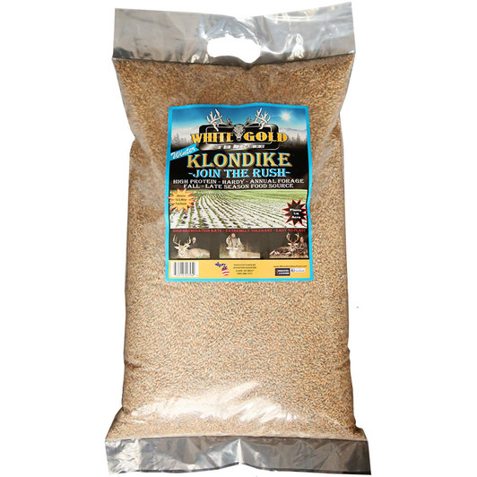 White Gold Winter Klondike Seed 12.5 Lb