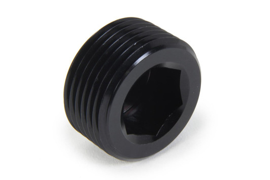 TRIPLE X RACE COMPONENTS NPT Allen Plug 3/4 