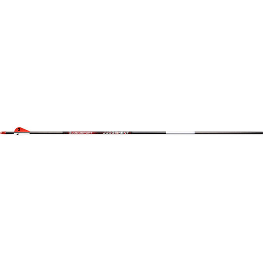 Bloodsport Judgement Arrows 300 2 In Vanes 6 Pk