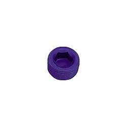 XRP-XTREME RACING PROD. 3/4 Pipe Plug (Allen) 