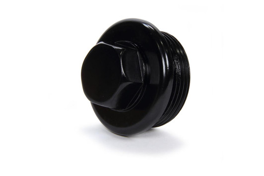 WINTERS O-Ring Insp Plug 1-7/8in 