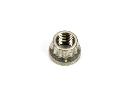 ARP S/S 12pt. Nut - 5/16-24 (1) 