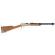 Rossi Riobravo 22lr 18" 15-Round Wood Stock Lever-Action Rifle