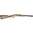 Rossi Riobravo 22lr 18" 15-Round Rifle