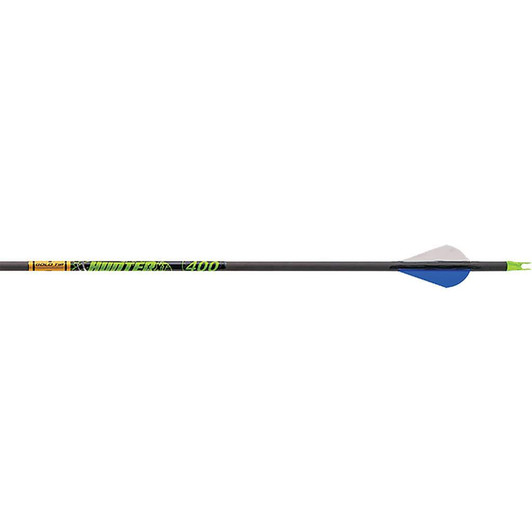  Gold Tip Hunter Xt Arrows 300 Raptor Vanes 12 Pk. 