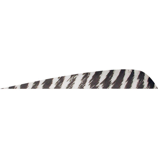  Gateway Parabolic Feathers Barred White 4 In. Lw 50 Pk. 