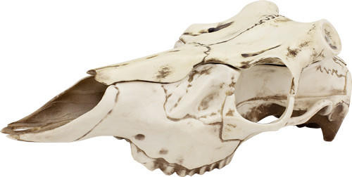  Mountain Mike's Natural Causes - Skull Master W/positioner! 