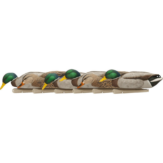 Avian X Avianx Top Flight Duck Decoys Backwater Mallards 6 Pk. 