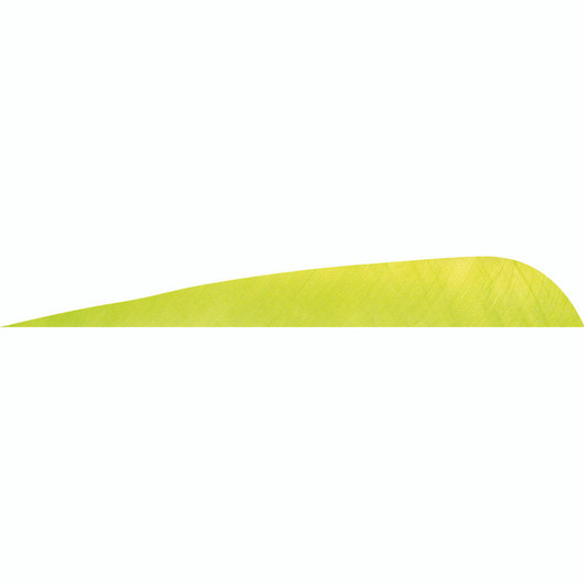  Gateway Parabolic Feathers Lemon Lime 4 In. Lw 50 Pk. 