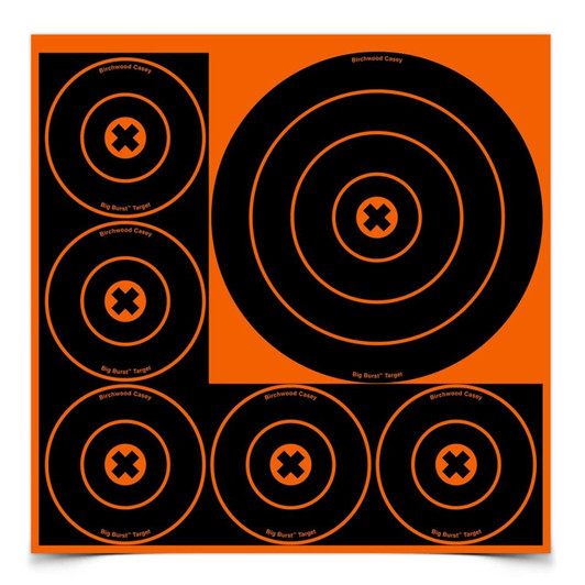 Birchwood Casey Big Burst 8 Inch & 4 Inch Bull's-eye Target, 3 Sheets 