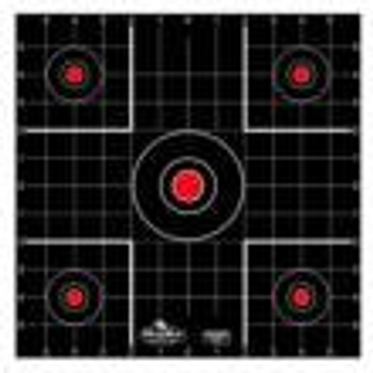  Birchwood Casey Dirty Bird 12" Sight-In Targets 100/ct 