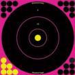  Birchwood Casey Shoot-N-C Pink Reactive Targets 12" 5/Pack 