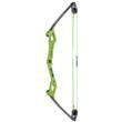  Bear Archery Traditional Youth Bow - Apprentice RH Green 