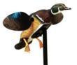 Huntwise dba MOJO Outdoors MOJO Elite Series Spinning Wing Motion Decoy - Woody 