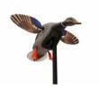 Huntwise dba MOJO Outdoors MOJO Elite Series Spinning Wing Decoy - Mini Mallard Drake With Remote 