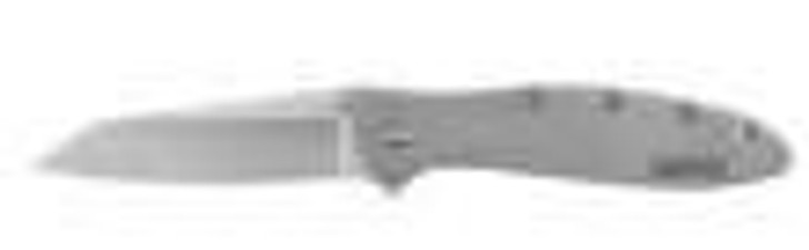 Kershaw Knives Kershaw Random Leek Reverse Tanto Assisted Folding Knife (3" Bead Blast) 