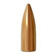 Atlanta Arms Specialty Cartridge .224 55GR FMJ Bullets 100 Rnds
